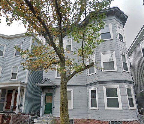 A tree in front of a grey house.