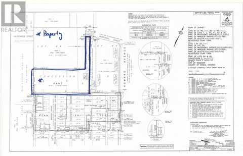 A blue line is drawn on a realtor's floor plan.