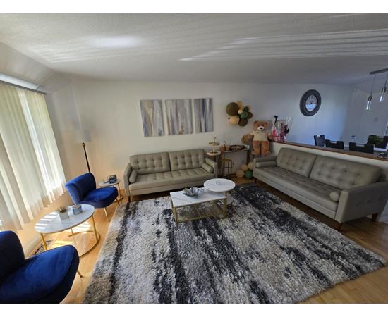 A living room with a grey rug and a grey couch.