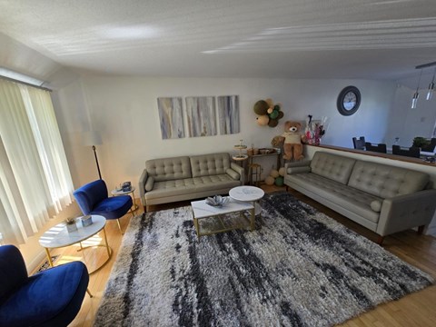 A living room with a grey rug and a grey couch.