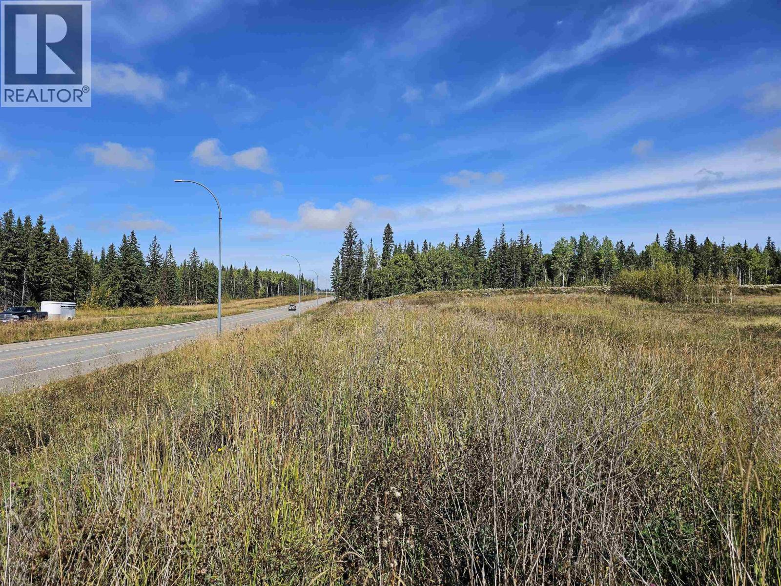 A REALTOR® logo is in the corner of a landscape image showing a road, trees, and a grassy field.