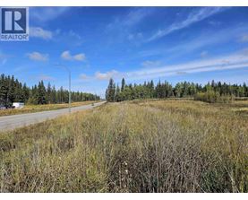 A REALTOR® logo is in the corner of a landscape image showing a road, trees, and a grassy field.