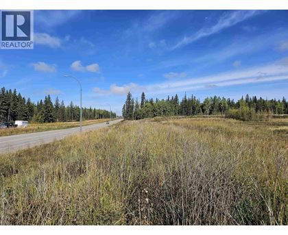A REALTOR® logo is in the corner of a landscape image showing a road, trees, and a grassy field.