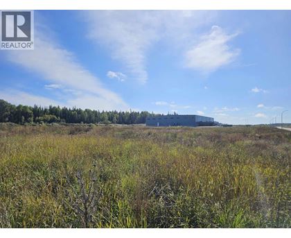 A field with tall grass and a building in the distance.