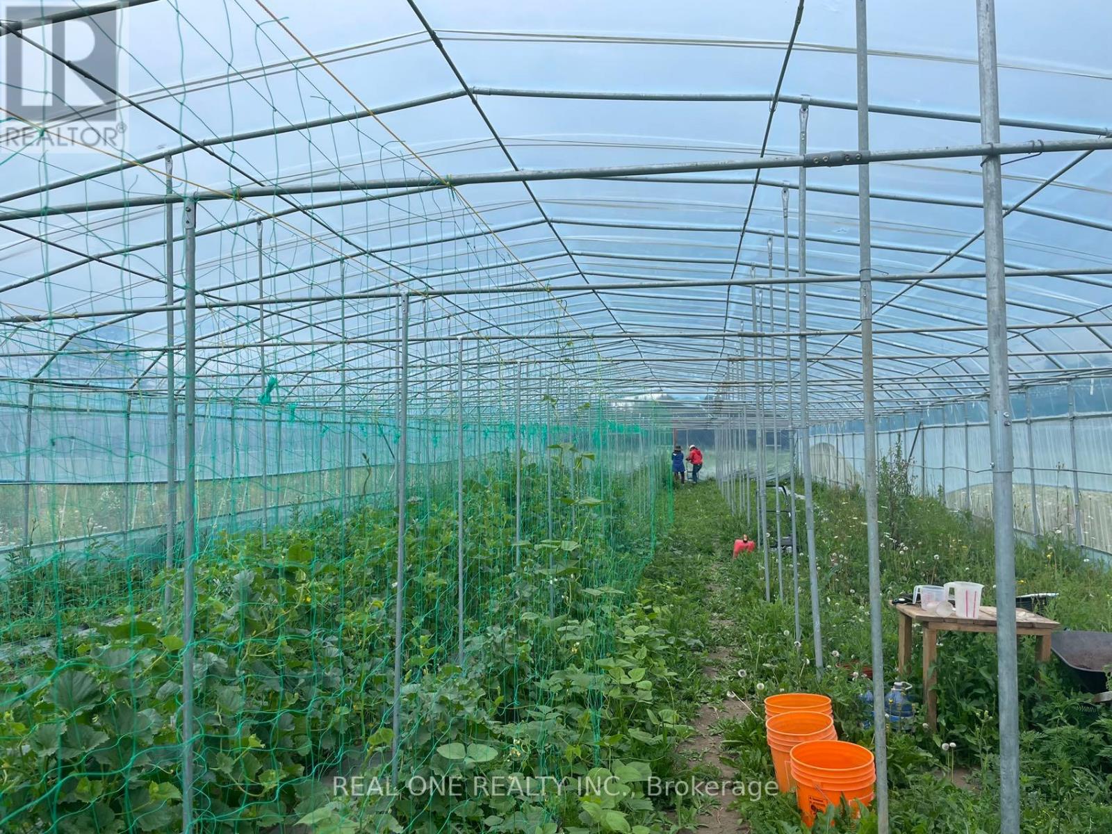 A greenhouse with plants growing inside and a table with buckets on the outside.