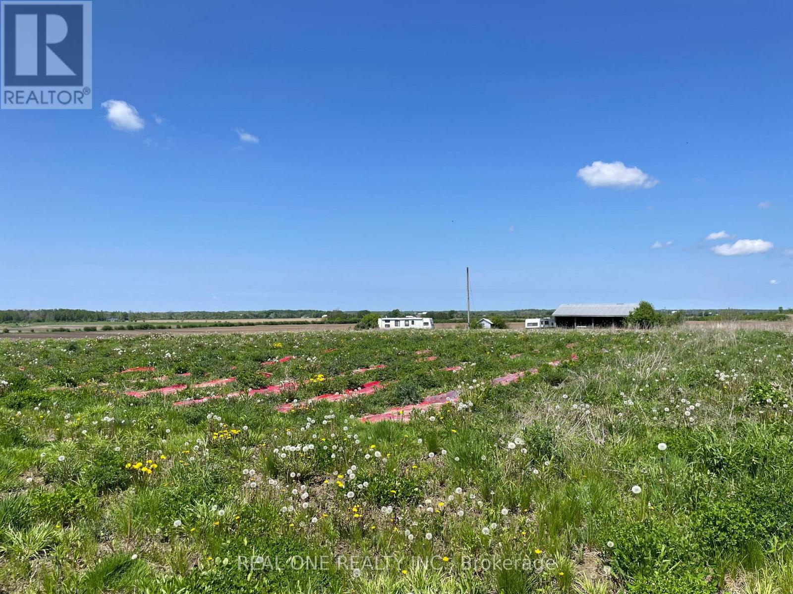 A field with wildflowers and a building in the distance under a blue sky.