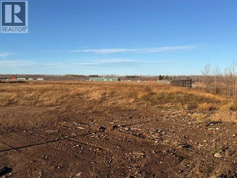A barren field with a REALTOR® logo in the corner.