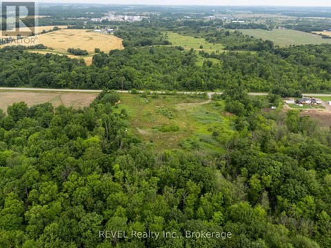 An aerial view of a large green forest with a small building in the distance.