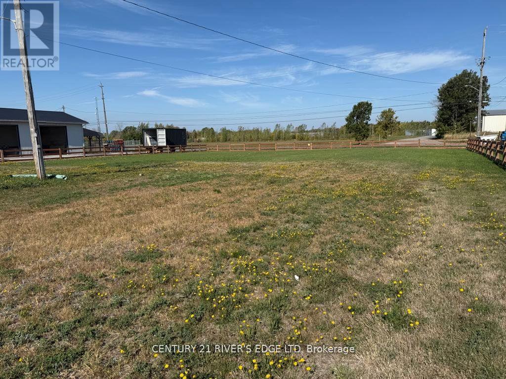 A field with yellow flowers and a building in the background.