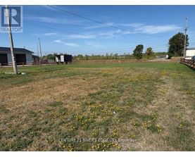 A field with yellow flowers and a building in the background.