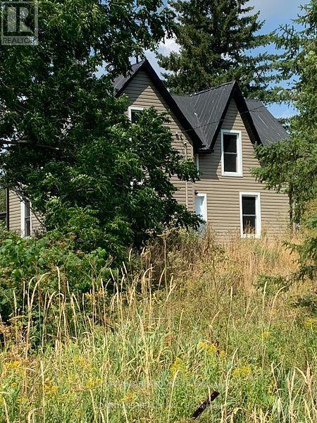 A house with a brown roof and a window surrounded by greenery.