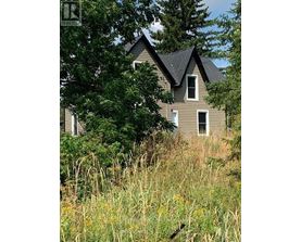 A house with a brown roof and a window surrounded by greenery.