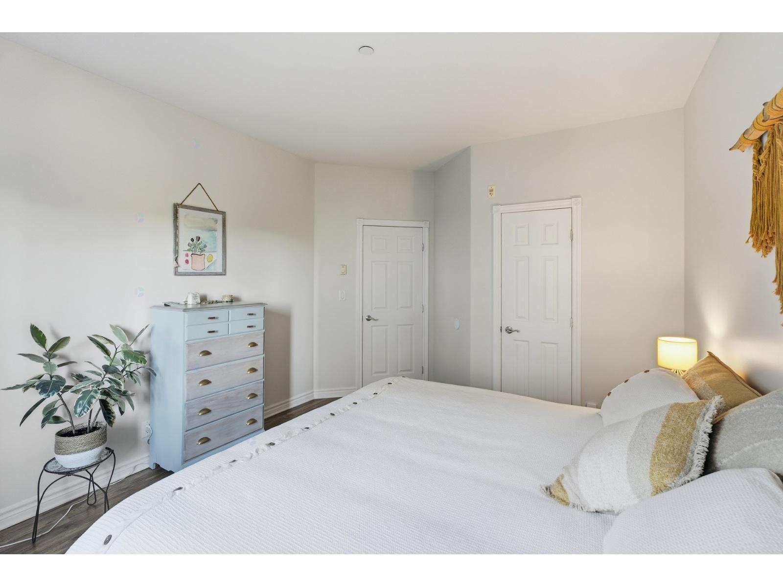 A white bedroom with a large bed and a plant on a side table.