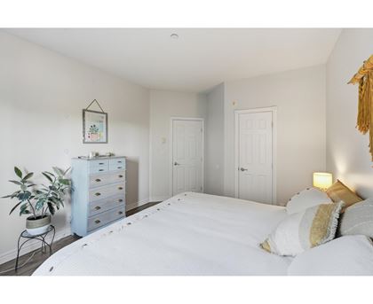 A white bedroom with a large bed and a plant on a side table.