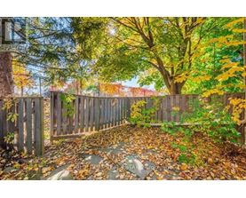 A backyard with a wooden fence and trees with yellow leaves.