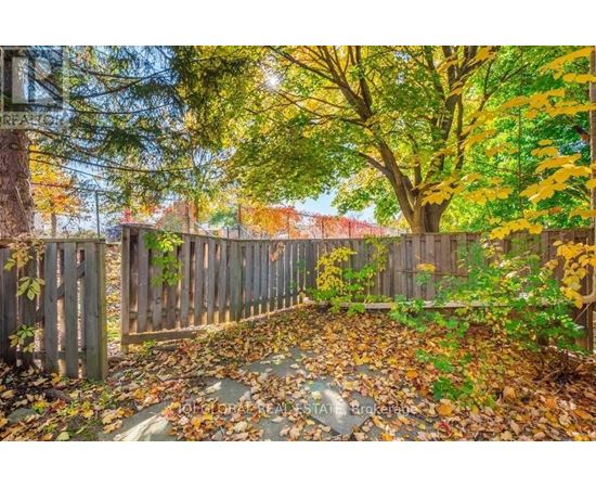 A backyard with a wooden fence and trees with yellow leaves.