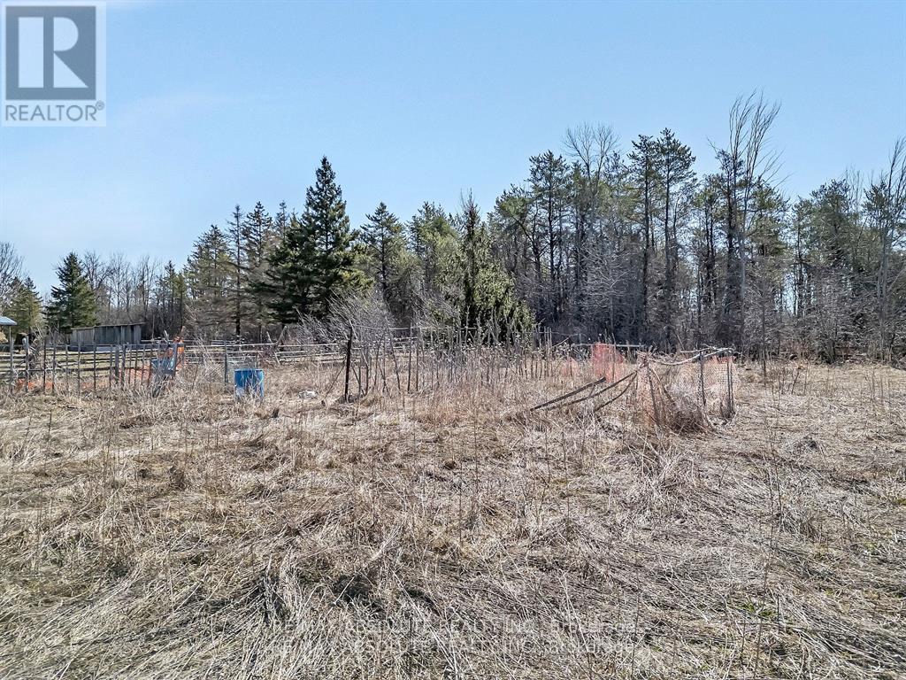 A field with dry grass and trees in the background.