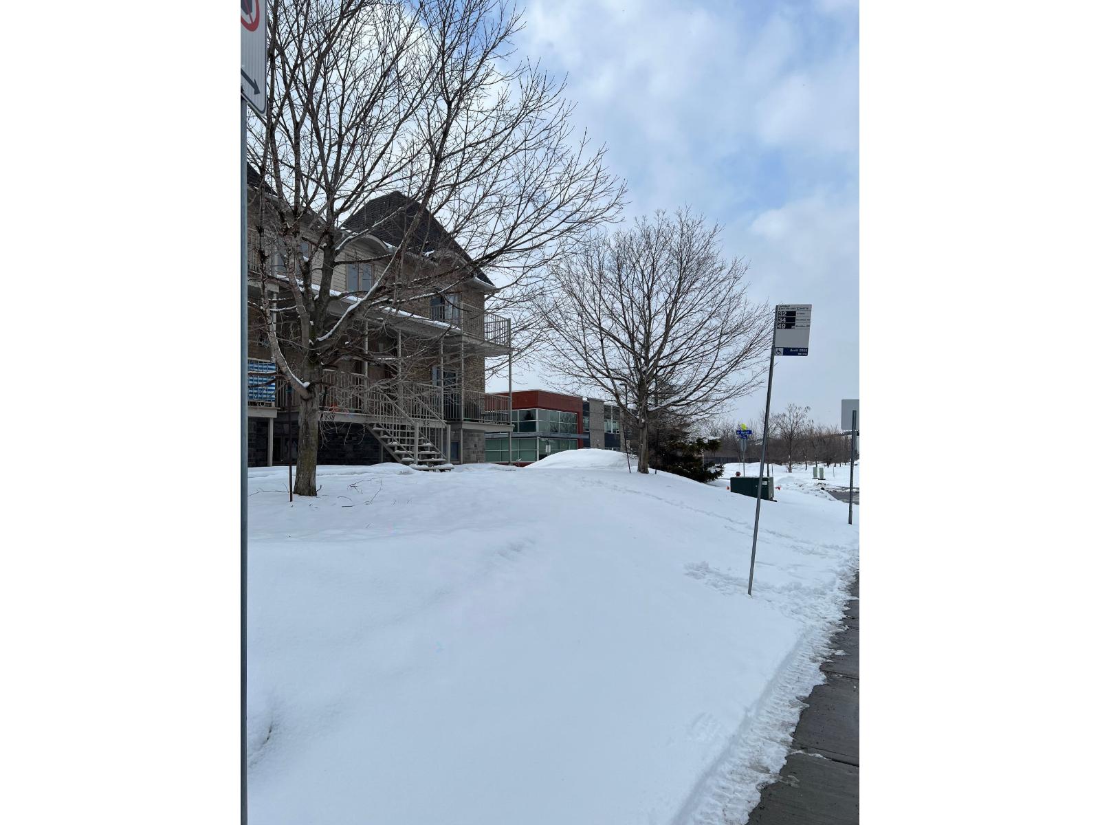 A snow-covered ground with a building in the background.