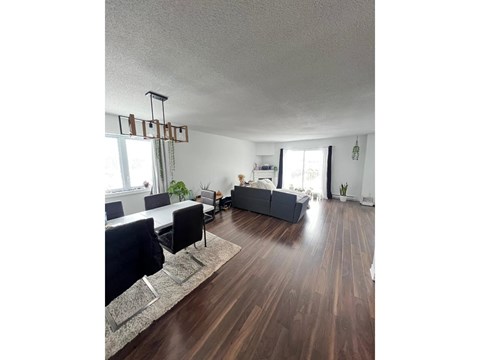 A living room with a grey couch and a wooden floor.