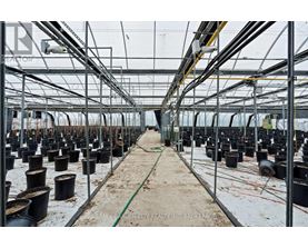 A greenhouse with many pots and a hose in the middle.