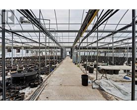 A greenhouse with plants growing in it and a sign that says RE/MAX Garden City Realty, Inc. Brokerage.