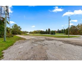 A gravel road leads to a grassy area with trees in the distance.