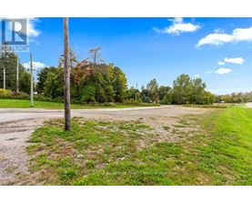 A grassy field with a telephone pole in the foreground and trees in the background.