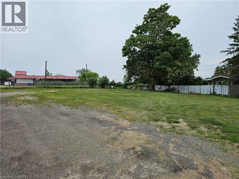 A large tree stands in a grassy field with a building in the background.