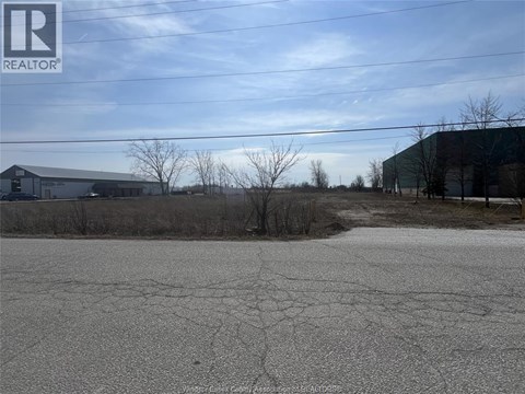 A cracked ground with a building and trees in the background.