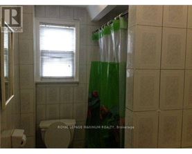 A bathroom with a toilet, a window, and a shower curtain.