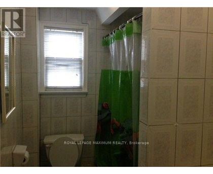 A bathroom with a toilet, a window, and a shower curtain.