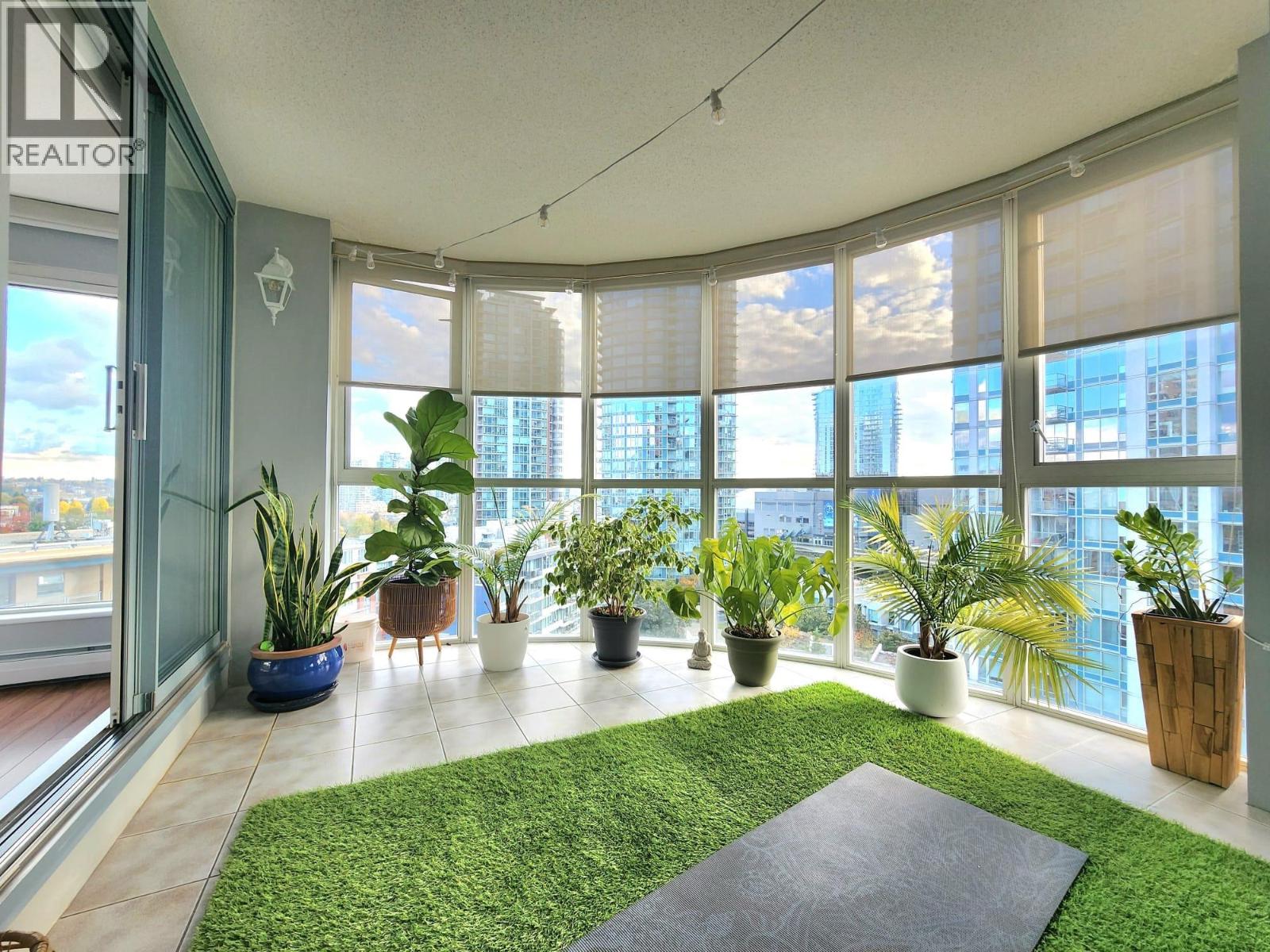A living room with a green rug and plants.