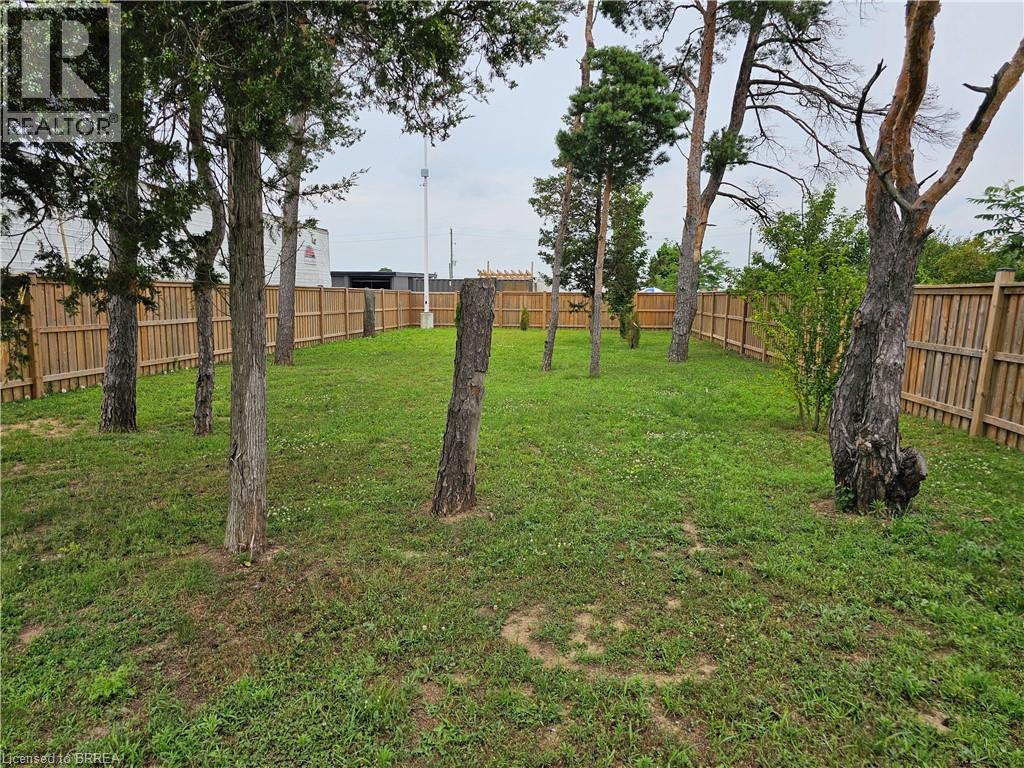 A backyard with a fence and trees.