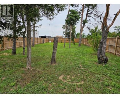 A backyard with a fence and trees.