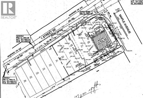 A black and white architectural drawing of a building site with a Realty logo in the corner.