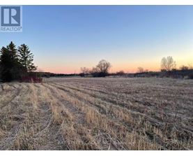 A field with a tree and a REALTOR sign in the corner.
