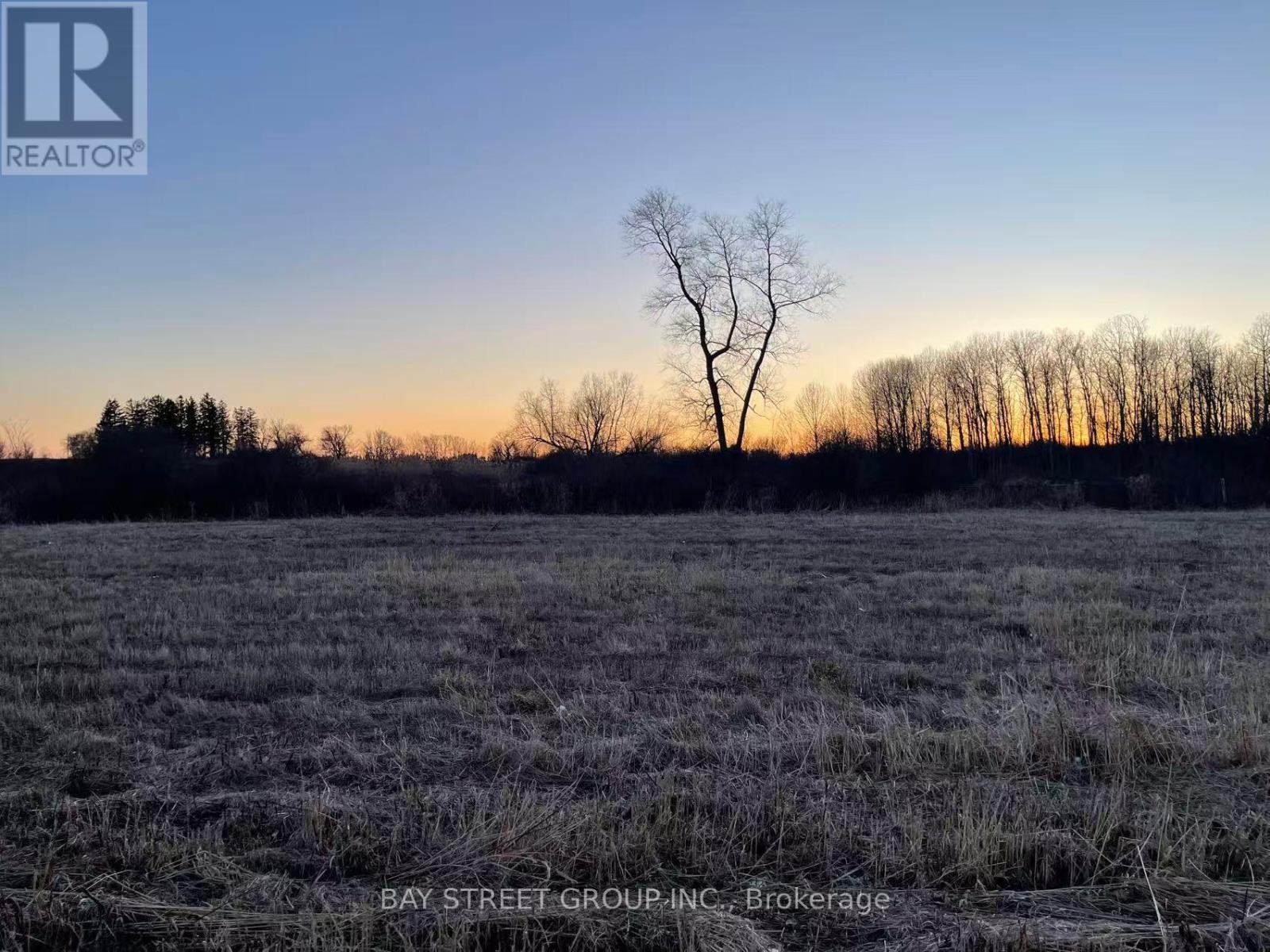 A lone tree stands in a field with a sunset in the background.