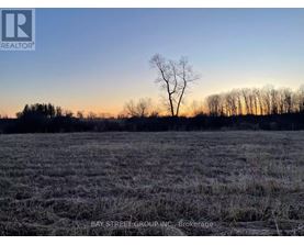 A lone tree stands in a field with a sunset in the background.