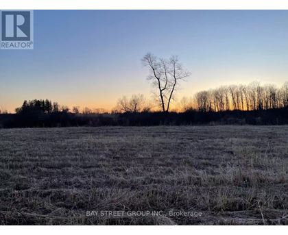 A lone tree stands in a field with a sunset in the background.