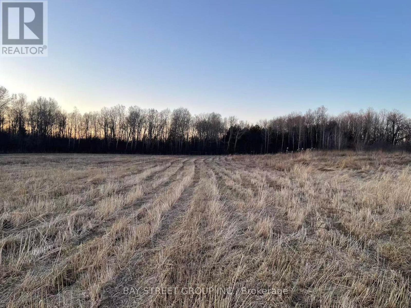 A field with a clear sky and trees in the distance.