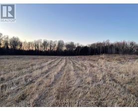 A field with a clear sky and trees in the distance.