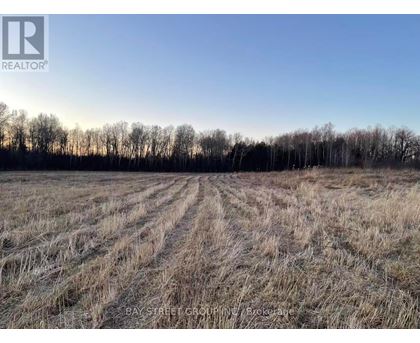A field with a clear sky and trees in the distance.