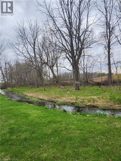A river flows through a grassy field with trees on the side.