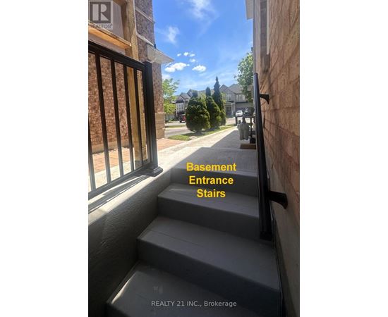 Steps leading to a basement entrance.