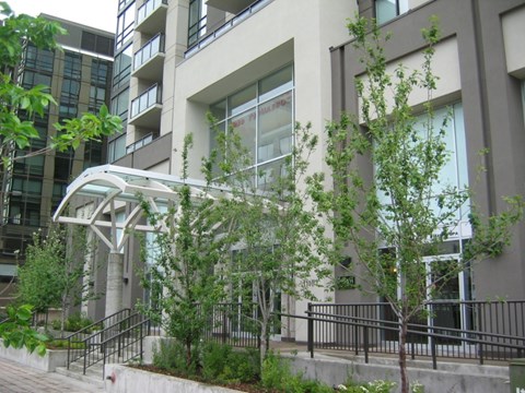 508, 1110-11Th Street SW 2 Beds Apartment for Rent