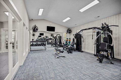 A spacious gym with a variety of equipment.