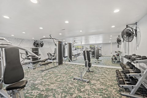 A well-equipped gym with various exercise machines and weights.