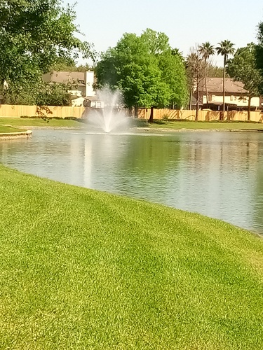 A fountain in the middle of a lake surrounded by green grass.