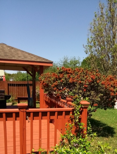 A red wooden fence with a brown roof and green plants.