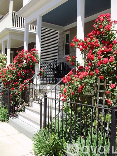 A house with a white porch and a black railing with red flowers on it.